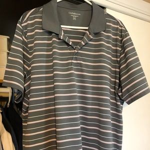 Handsome Gray striped polo